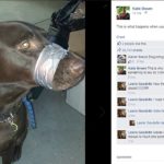 fb-reaction-e1465054455864