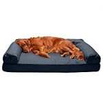 Orthopedic Pet Sofa Bed by Furhaven