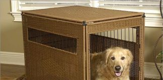 dog crate