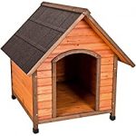 Duplex Wood Dog House for Extra Large Dogs
