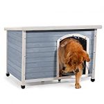 Pets fit Dog House